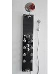 BLACK GLASS THERMOSTATIC SHOWER PANEL